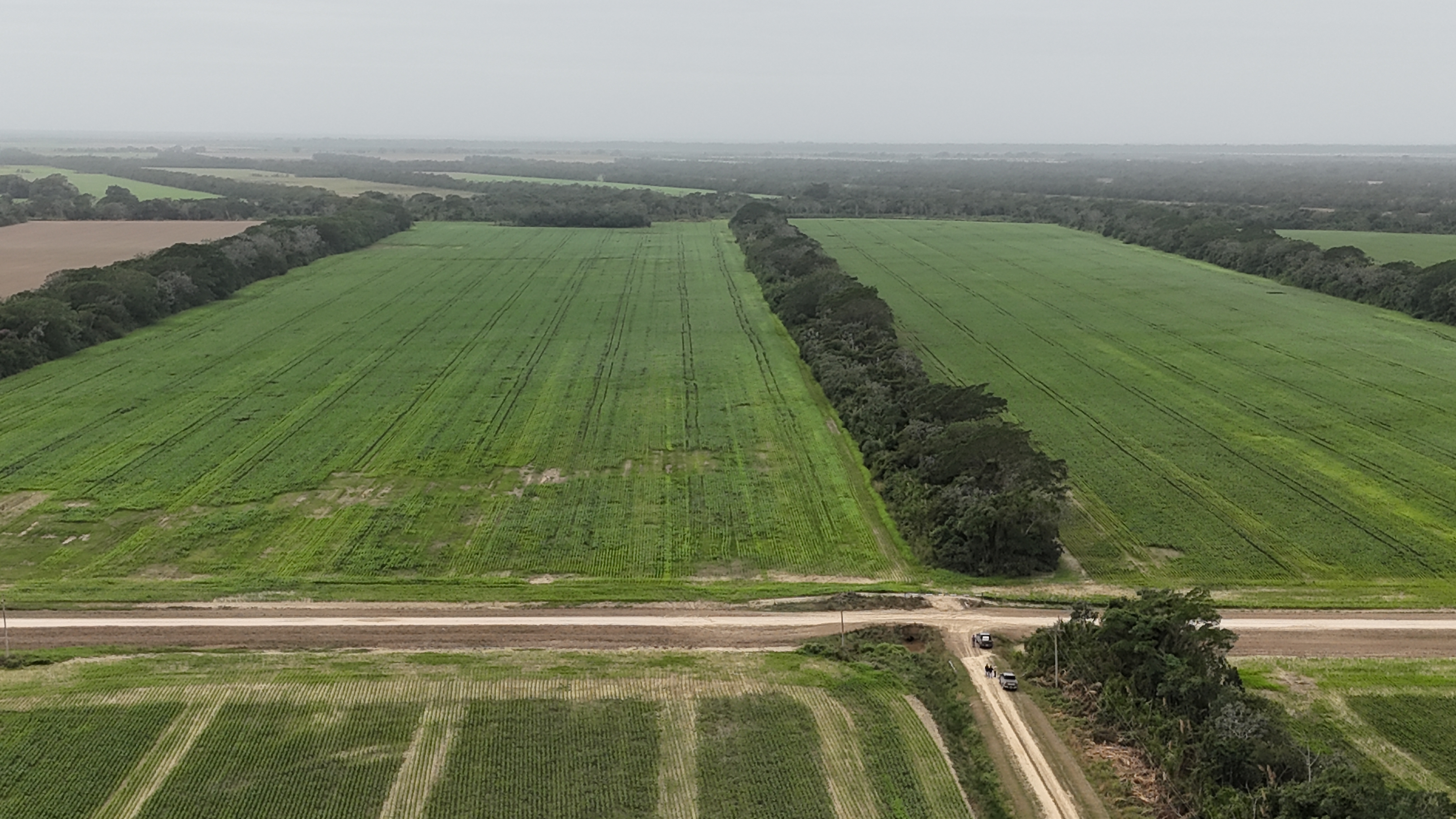AMS Morgan & Asociados | Inversiones Agrícolas y Rurales desde 1977